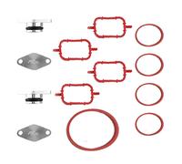Kit rimozione valvole perforate per BMW E46 E83 E60 E61 M47N M47TU
