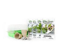 KIT ERBE SELVATICHE - SEMI + JIFFY + VASI + SERRA GERMINAZIONE