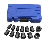 Kit Estrattore Viti Easy Out, Set di 13 Estrattori Bulloni e Dadi a Percussione, Attrezzi di Precisione Antiscivolo per Meccanico Officina Estrazione Ruota Asse Riparazioni
