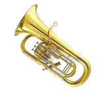 Kit Eufonio 3 Stand Key1 Side Key Euphonium Strumento Professionale Per Eufonio Per Performance Sul Palco Con Bocchino Strumento Eufonio