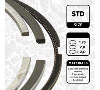 Kit fasce elastiche AUDI VW PORSCHE 3,0 4,1 059198151N 95810392710 059198151P