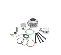 Kit fasce elastiche for testata cilindro da 44 mm for parti da moto da da 47 e 49 cc(Silver Head)
