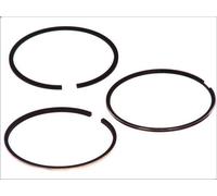 Kit fasce elastiche GOETZE 08-424000-00 per VOLVO V50 (545) 1.6 2005-2011
