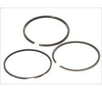 Kit fasce elastiche KOLBENSCHMIDT 800005010000 per DAF SB 11.627 1984-2003