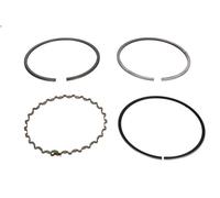 Kit fasce elastiche MAHLE 011 06 N0 per OPEL CORSA B (S93) 1.4 1993-2