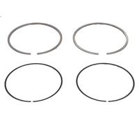 Kit fasce elastiche MAHLE 040 02 N0 per CITROEN C2 (JM_) 1.4 2006-2009
