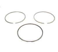 Kit fasce elastiche MAHLE 227 RS 00115 0N0 per MAN TGA 10.518 2001-2008