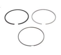 Kit fasce elastiche NE 8921690000 per FORD TRANSIT Furgone (FA_ _) 2.4 2004-2006