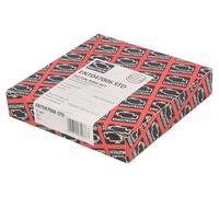 Kit fascia elastica ENGITECH ENT047006 STD