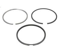 Kit fascia elastica FP DIESEL AR55759-FP
