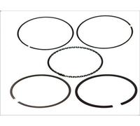 Kit fascia elastica GOETZE 08-105900-00 per VW VENTO (1H2) 1.6 1994-1998