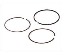 Kit fascia elastica GOETZE 08-109100-00 SSANGYONG KYRON 2.3 2010-2014