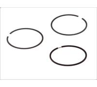 Kit fascia elastica GOETZE 08-138400-00 FORD KA (RU8) 1.2 2008-2016