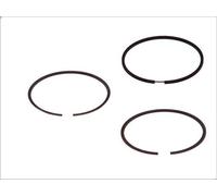 Kit fascia elastica GOETZE 08-138900-00 per CITROEN ZX (N2) 1.4 1991-1997