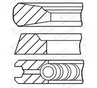 Kit fascia elastica GOETZE 08-143600-00 per SCANIA T 11.705 2004-2005