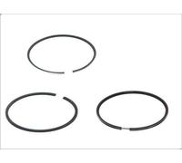 Kit fascia elastica GOETZE 08-152000-00 per CITROEN ZX (N2) 1.9 1991-1997
