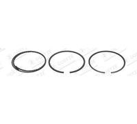 Kit fascia elastica GOETZE 08-154600-10 per CITROEN XM (Y3) 2 1989-1994
