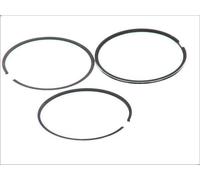 Kit fascia elastica GOETZE 08-307600-00 ISUZU GEMINI 1.7 1990-1993