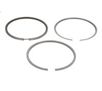 Kit fascia elastica GOETZE 08-406200-00 VW DERBY (86C, 80) 1 1981-1984