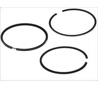 Kit fascia elastica GOETZE 08-406207-00 per VW DERBY (86C, 80) 1 1981-1984