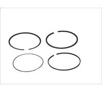 Kit fascia elastica GOETZE 08-421600-00 per IVECO MASSIF Pick-up 3 2008-2011