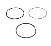 Kit fascia elastica GOETZE 08-425300-00 per BMW 5 (E39) 3 2000-2003