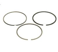 Kit fascia elastica GOETZE 08-437000-00 per FORD S-MAX (WA6) 1.8 2007-2010