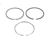 Kit fascia elastica GOETZE 08-440300-00 per NISSAN PRIMERA (P12) 2.2 2002-2007