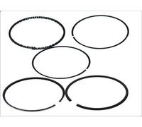 Kit fascia elastica GOETZE 08-702600-00 per BMW 3 (E30) 1.6 1987-1991