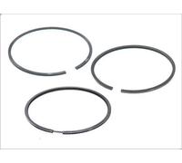 Kit fascia elastica GOETZE 8-783800- per FIAT TIPO (160_) 1.9 1990-1992