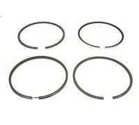 Kit fascia elastica KOLBENSCHMIDT 800013011000