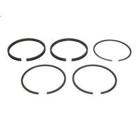 Kit fascia elastica KOLBENSCHMIDT 800016211000