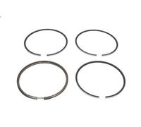 Kit fascia elastica KOLBENSCHMIDT 800016310000