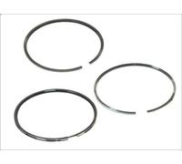 Kit fascia elastica KOLBENSCHMIDT 800019212050 MERCEDES-BENZ NG 5.96 1973-1996