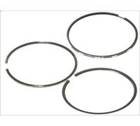 Kit fascia elastica KOLBENSCHMIDT 800019411000 per MK 9.57 1987-1996