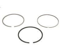 Kit fascia elastica KOLBENSCHMIDT 800051110000 per TRANSIT Furgone 2.4 2000-2006