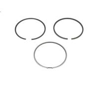 Kit fascia elastica KOLBENSCHMIDT 800073210000