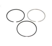 Kit fascia elastica KOLBENSCHMIDT 800076010000 per VDL Citea 6.69 2008-2014