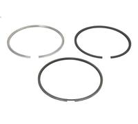 Kit fascia elastica KOLBENSCHMIDT 800076010050 per VDL Citea 6.69 2008-2014