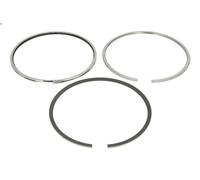 Kit fascia elastica KOLBENSCHMIDT 800077810000 IVECO TRAKKER I 12.882 2004-2012