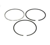 Kit fascia elastica KOLBENSCHMIDT 800077910000 per IVECO STRALIS I 10.308 2006-