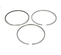 Kit fascia elastica KOLBENSCHMIDT 800079310000 MAN NG 10.518 2007-2014