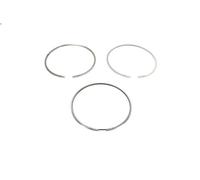 Kit fascia elastica KOLBENSCHMIDT 800108810000 ANTOS 12.809 2012-2018