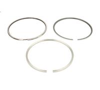 Kit fascia elastica KOLBENSCHMIDT 800111310000 per ANTOS 7.698 2012-2018