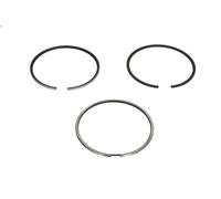 Kit fascia elastica KOLBENSCHMIDT 800117310000