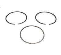 Kit fascia elastica KOLBENSCHMIDT 800118110000 IVECO X-WAY 11.118 2019-