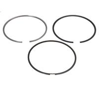 Kit fascia elastica KOLBENSCHMIDT 800118210000 IVECO STRALIS II 11.118 2012-