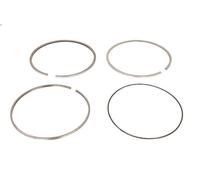 Kit fascia elastica MAHLE 001 RS 11114 0N0 per ANTOS 12.809 2012-2018