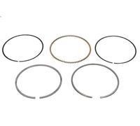 Kit fascia elastica MAHLE 022 02 N0 per DACIA SANDERO 1.6 2010-2013