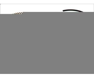 Kit fascia elastica MAHLE 022 04 N0 per RENAULT TWINGO I (C06_) 1.2 1996-2007